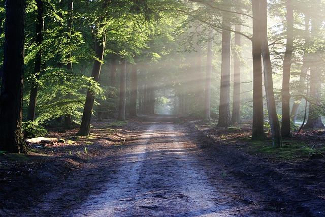 Přírodní způsoby detoxikace plic s kurkumou, zázvorem a cibulí