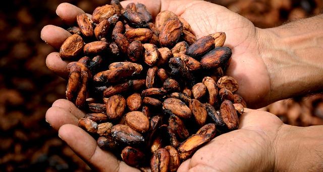 Jak zpracovat kakaové boby: Průvodce od loupaní po vytvoření lahodného kakaa